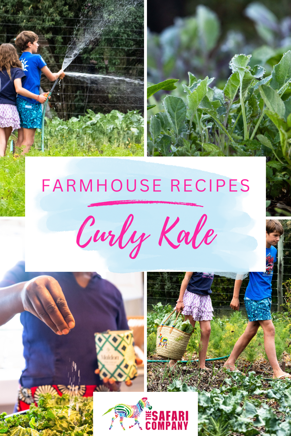 Curly Kale