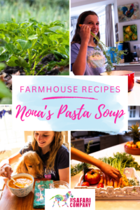 Nona's Pasta Soup